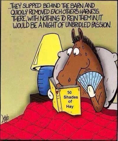horse joke.jpg